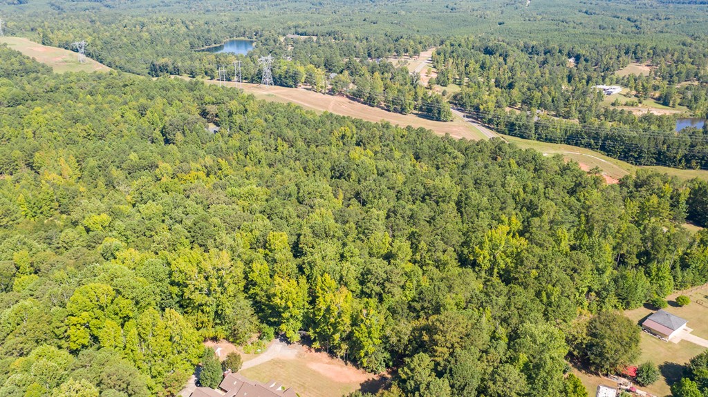 0 Mckee Road Upatoi, GA 31829 - Photo 7 of 16 Gallery Image 7