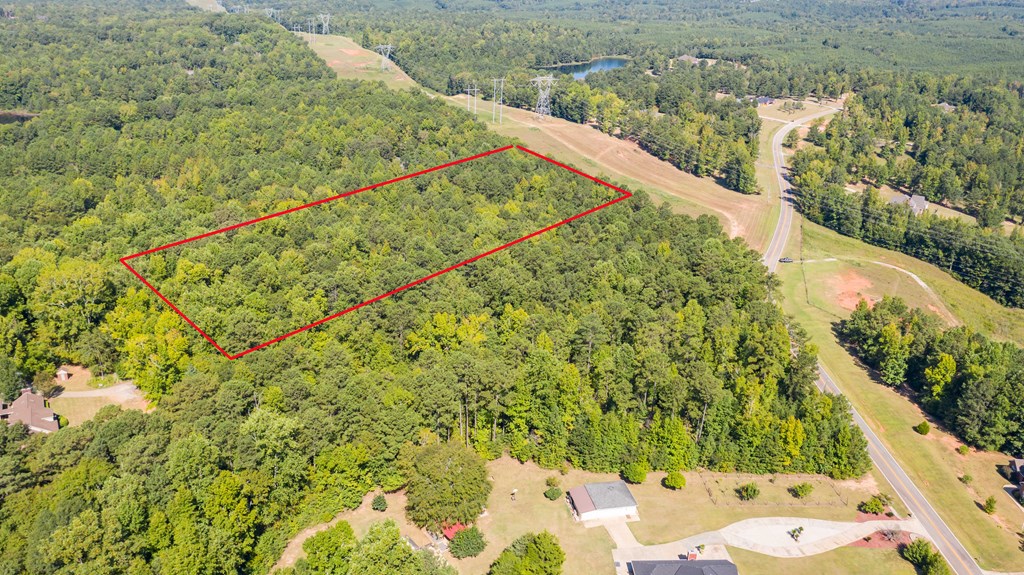 0 Mckee Road Upatoi, GA 31829 - Photo 8 of 16 Gallery Image 8