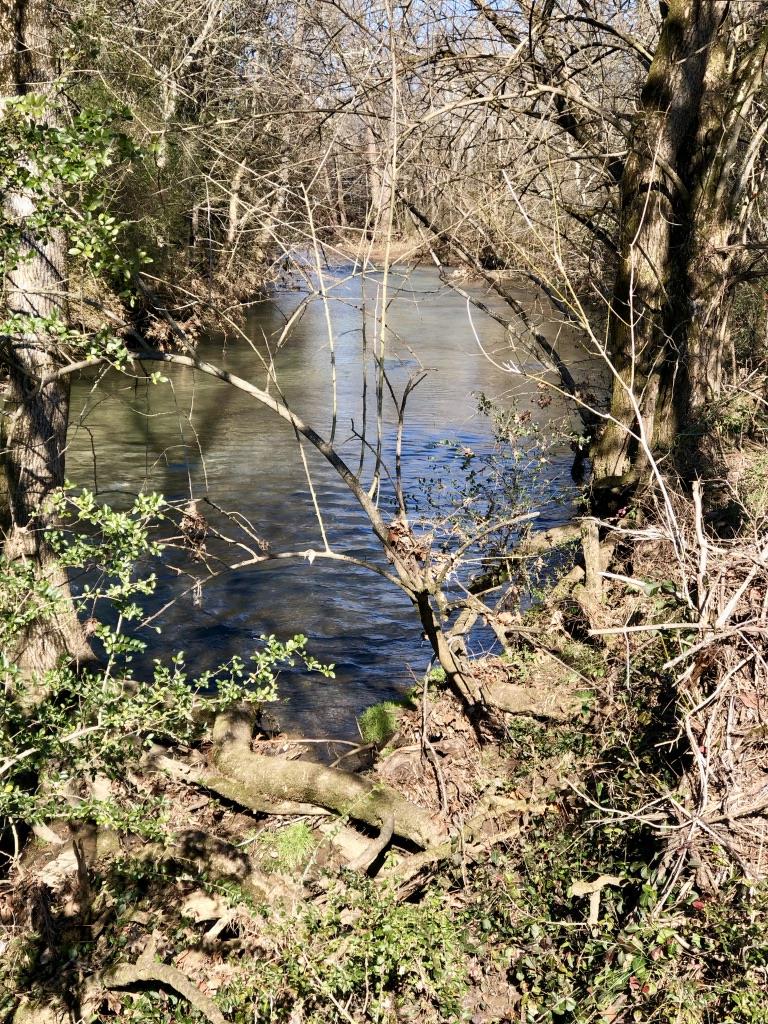 6200 Roberts Road Arrington, TN 37014 - Photo 4 of 13 Fishing anyone?