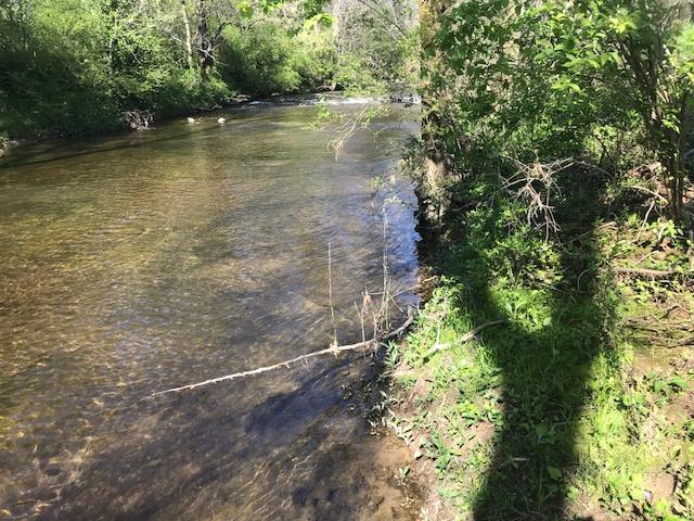 6200 Roberts Road Arrington, TN 37014 - Photo 5 of 13 Creek flows year round and runs across the entire width of the property.
