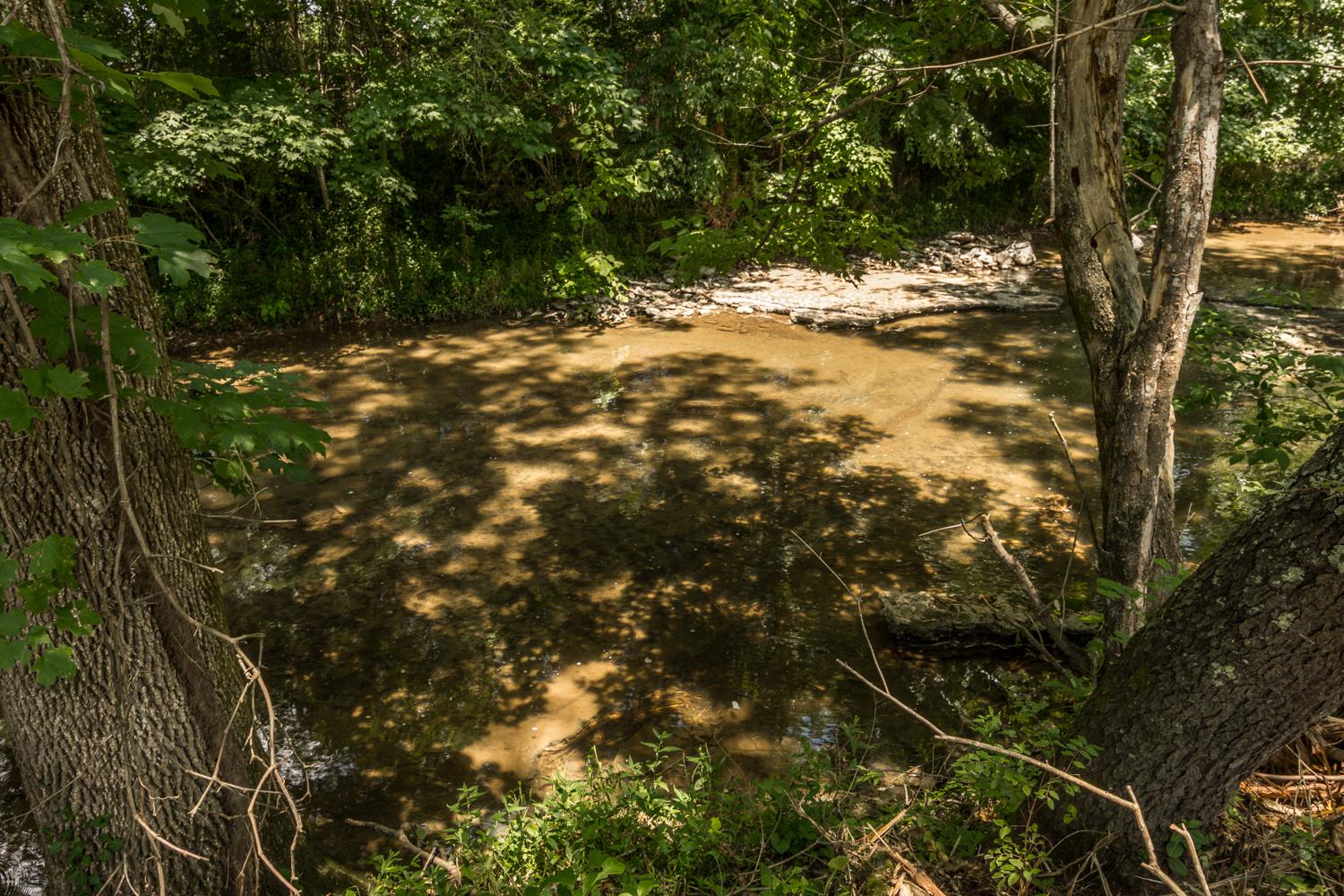 6200 Roberts Road Arrington, TN 37014 - Photo 6 of 13 Shady bank by the creek just waiting for weekend picnics.