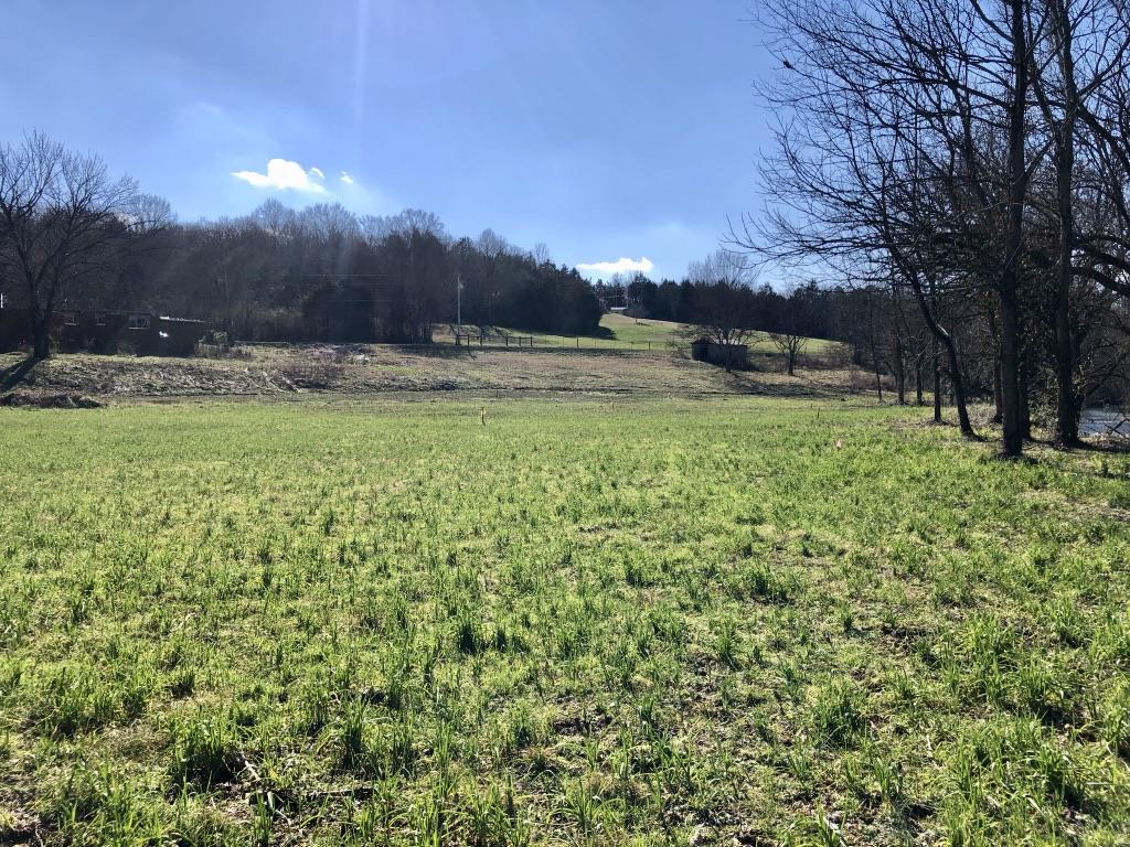 6200 Roberts Road Arrington, TN 37014 - Photo 7 of 13 Plenty of pasture for horses.