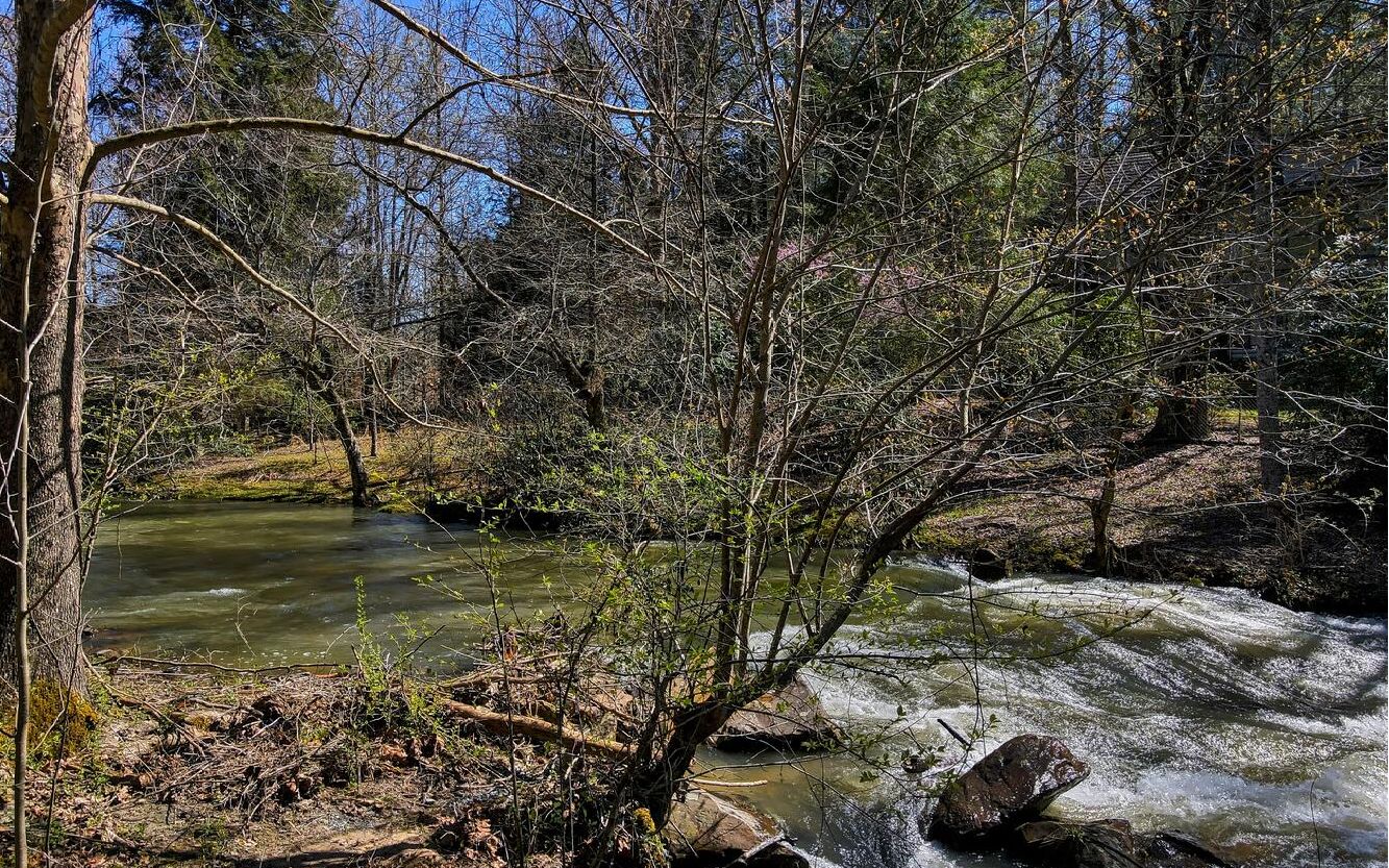 1626 Goose Island Road Cherry Log, GA 30522 - Photo 2 of 4 Additional View
