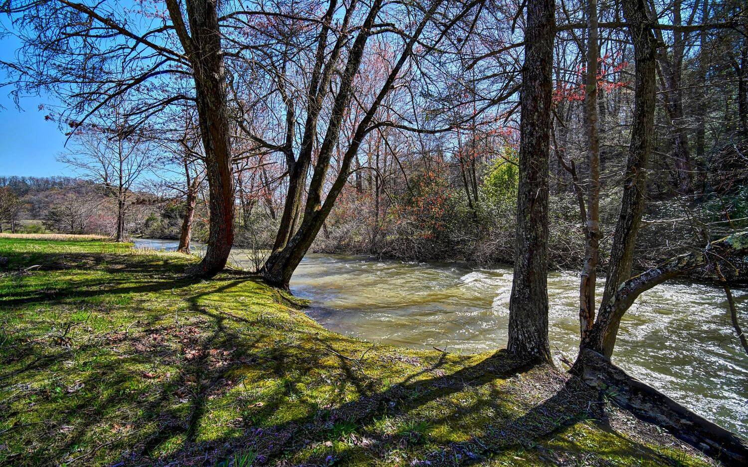 1626 Goose Island Road Cherry Log, GA 30522 - Photo 4 of 4 Additional View