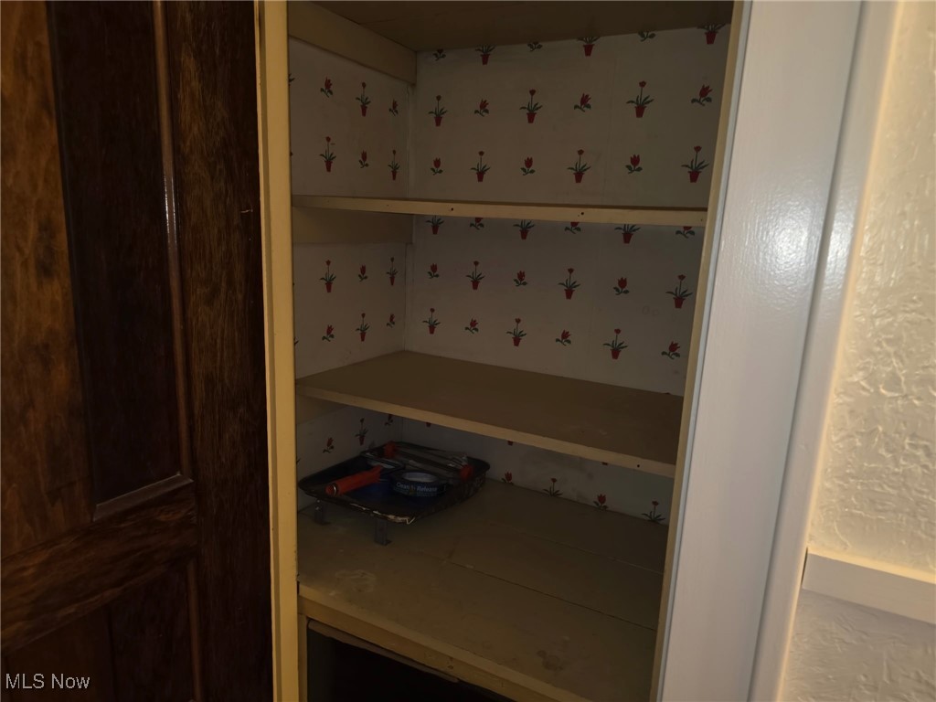 64 Sheldon Street Rittman, OH 44270 - Photo 28 of 37 View of pantry
