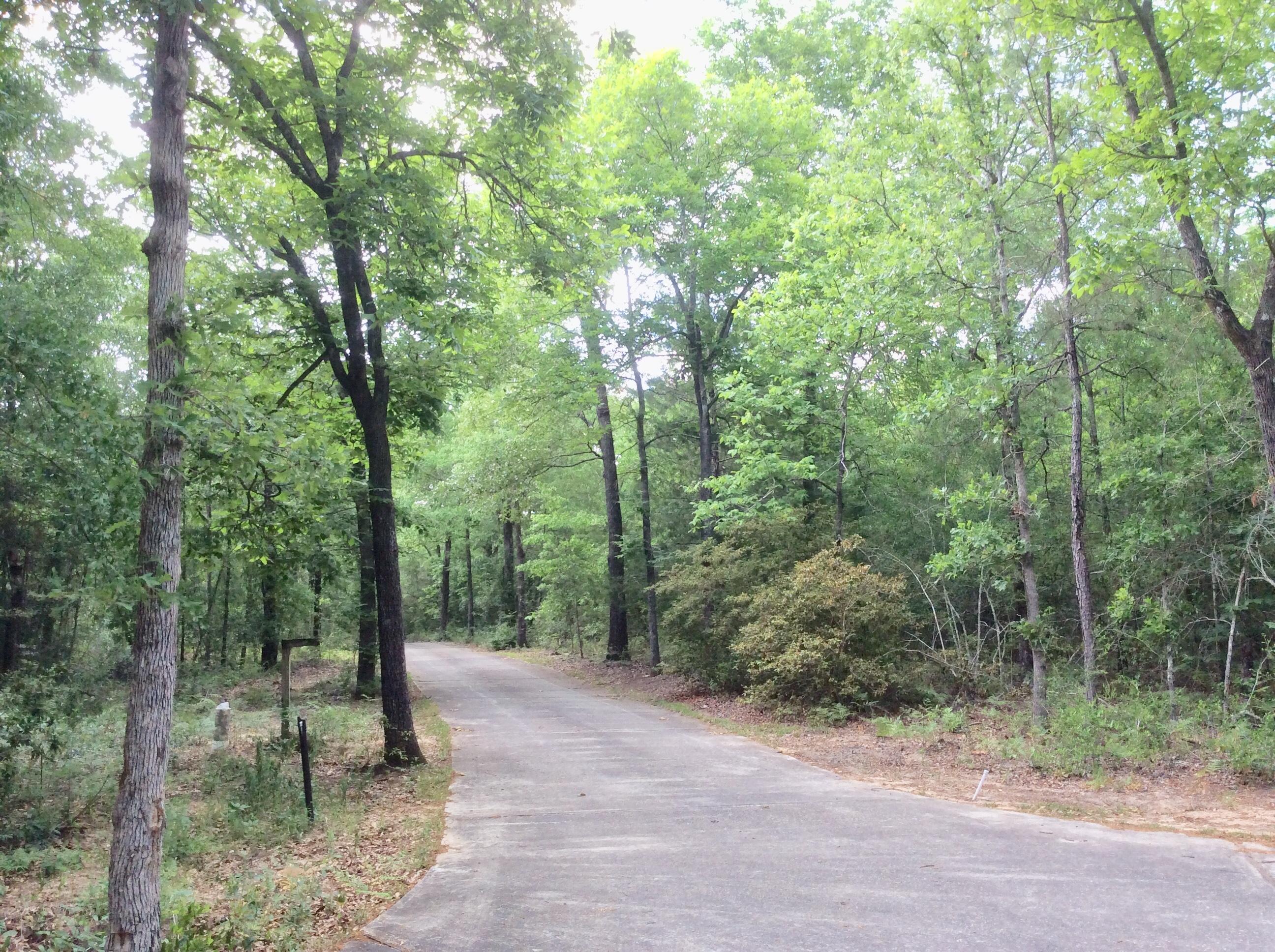6089 Clear Creek Road Crestview, FL 32539 - Photo 29 of 38 a view of forest