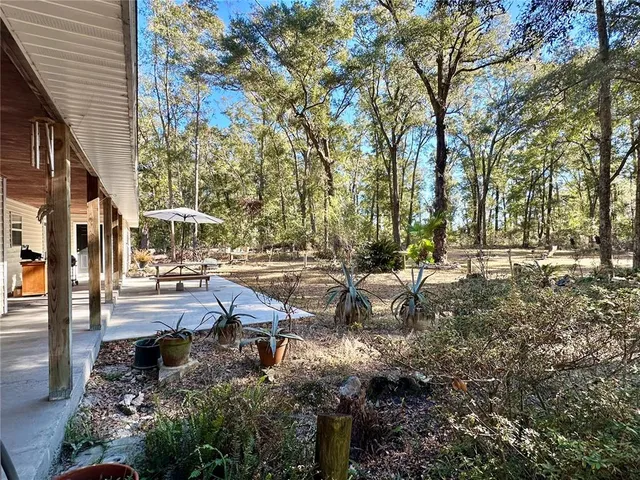 a front view of a house with a yard outdoor seating and covered with trees