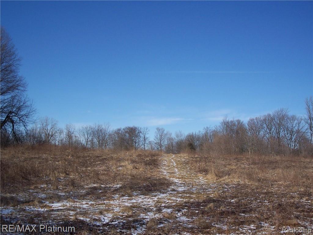 Parcel A Bell Oak Road Webberville, MI 48892 - Photo 27 of 48