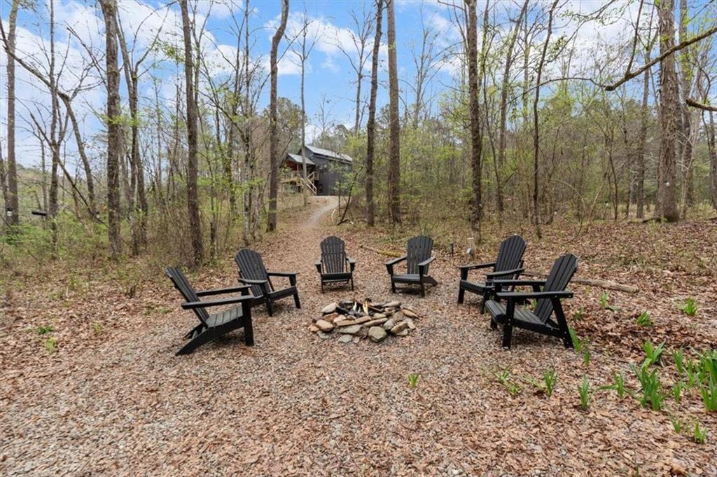 496 Meadow Lane Talking Rock, GA 30175 - Photo 44 of 62 a couple of benches sitting in middle of forest