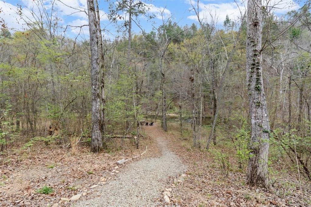 496 Meadow Lane Talking Rock, GA 30175 - Photo 46 of 62
