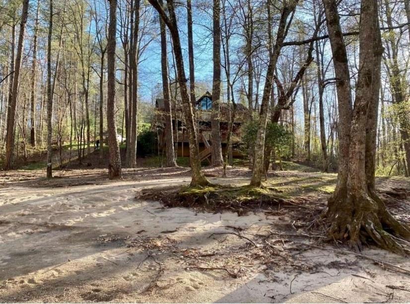 496 Meadow Lane Talking Rock, GA 30175 - Photo 60 of 62 a backyard of a house with lots of green space