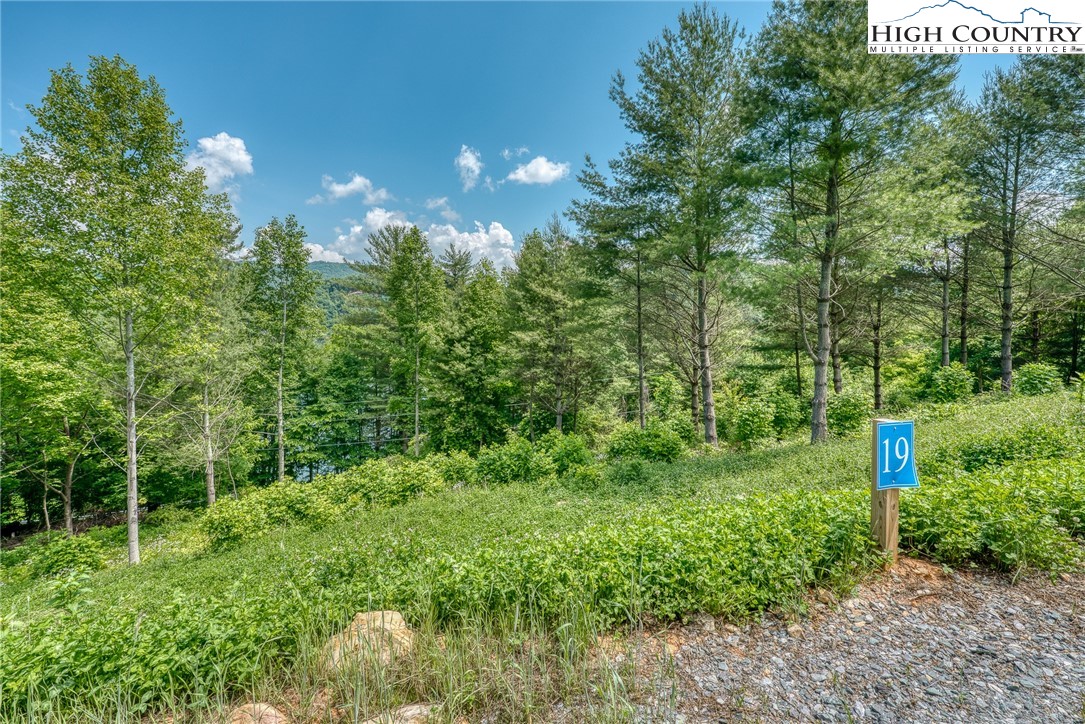 Lot 19 Cowan Town Road Butler, TN 37640 - Photo 11 of 25