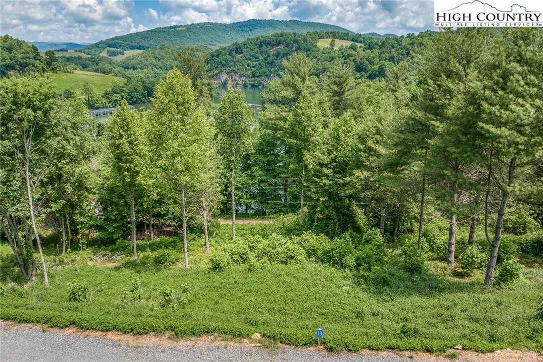Lot 19 Cowan Town Road Butler, TN 37640 - Photo 3 of 25