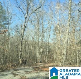 321 Camp Forrest Trail, Unit 772 Helena, AL 35080 - Photo 7 of 10