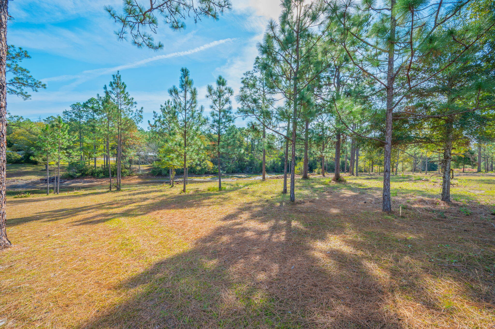 1136 10 Lake Drive DeFuniak Springs, FL 32433 - Photo 50 of 53 a view of a house with a swimming pool