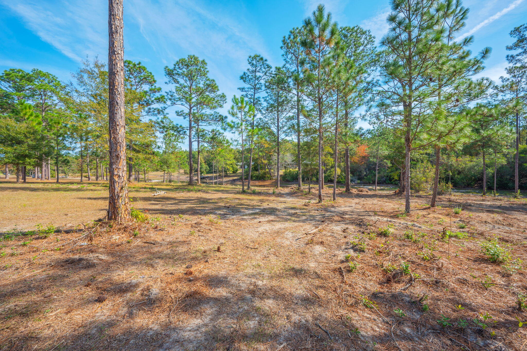 1136 10 Lake Drive DeFuniak Springs, FL 32433 - Photo 52 of 53 a view of outdoor space with trees