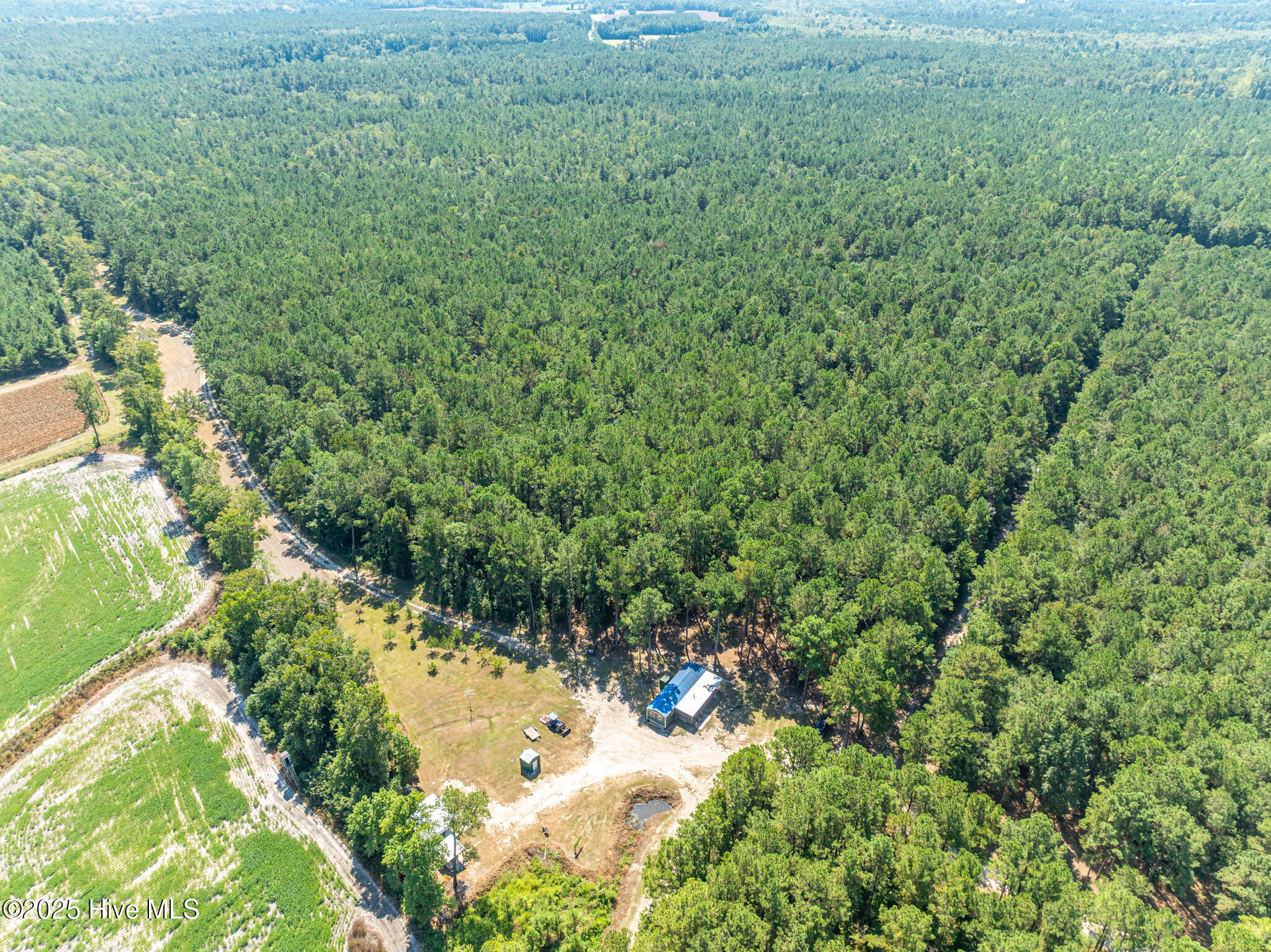 0 Butler Town Road Clarendon, NC 28432 - Photo 15 of 21 Aerial View