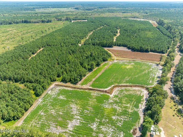 $3,000,000 | 0 Butler Town Road, Clarendon, NC 28432