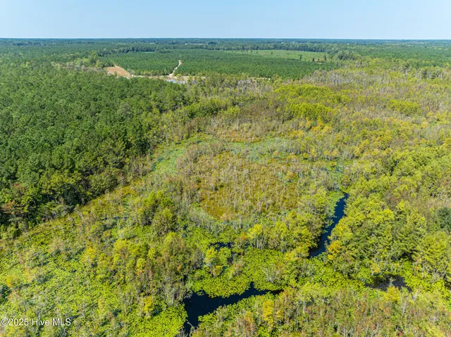 $3,000,000 | 0 Butler Town Road, Clarendon, NC 28432