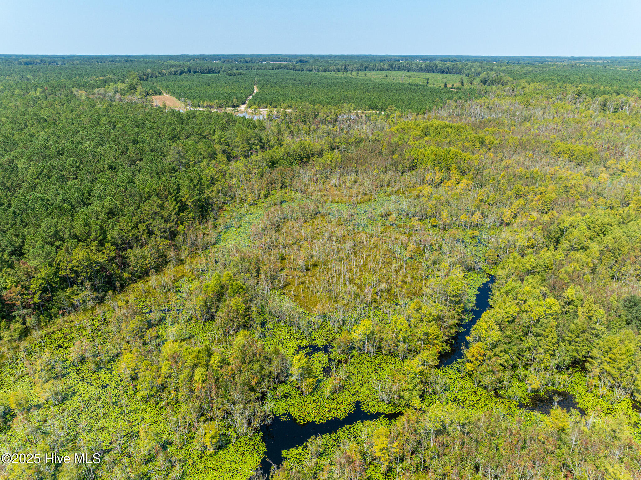 0 Butler Town Road Clarendon, NC 28432 - Photo 18 of 21 Aerial View