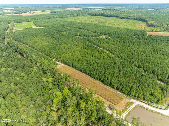 $3,000,000 | 0 Butler Town Road, Clarendon, NC 28432