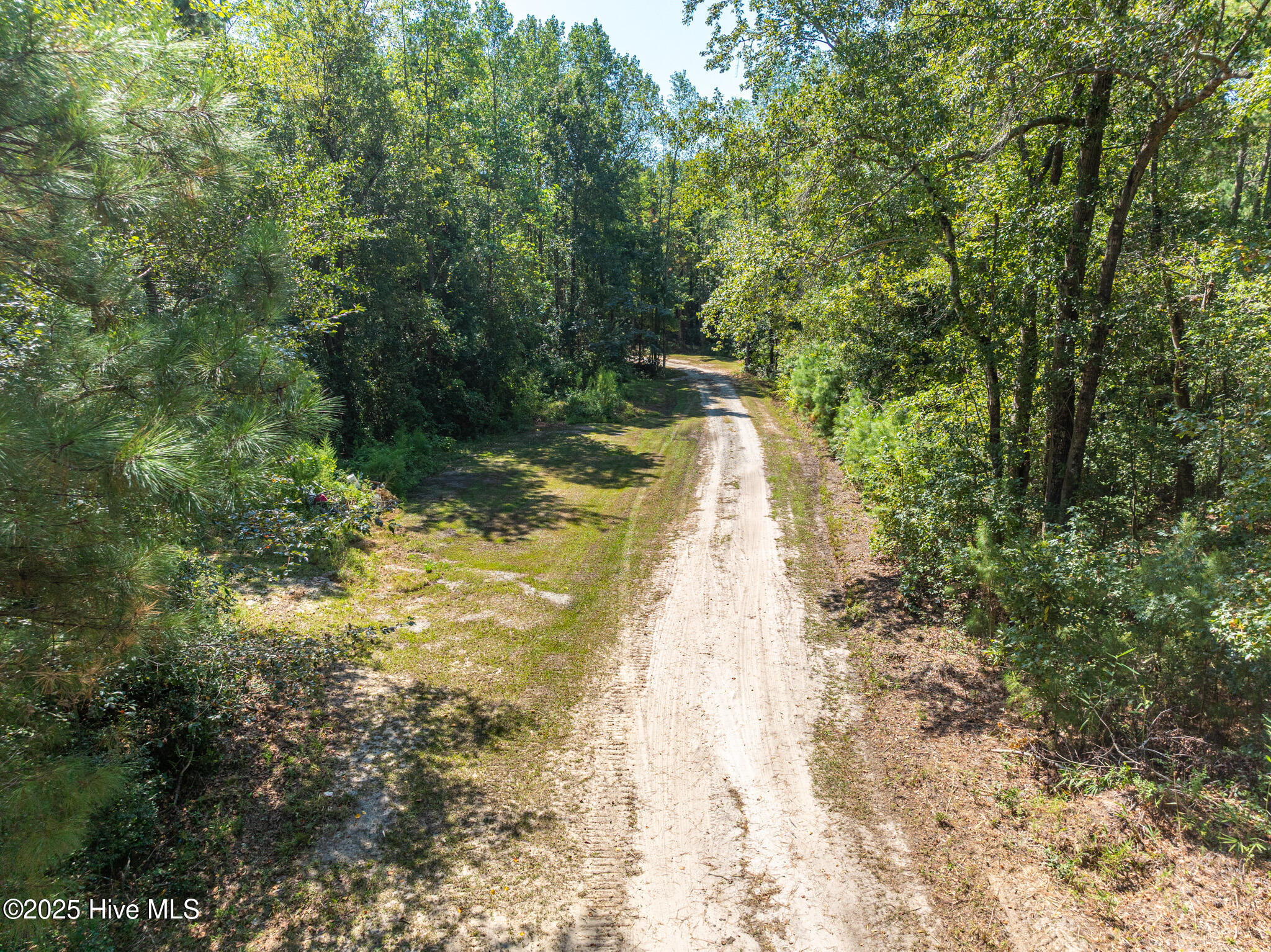 0 Butler Town Road Clarendon, NC 28432 - Photo 6 of 21 Aerial View