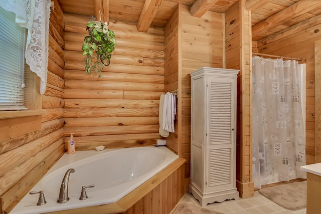 431 Windy Ridge Road Trenton, SC 29847 - Photo 14 of 34 Gallery Image 14