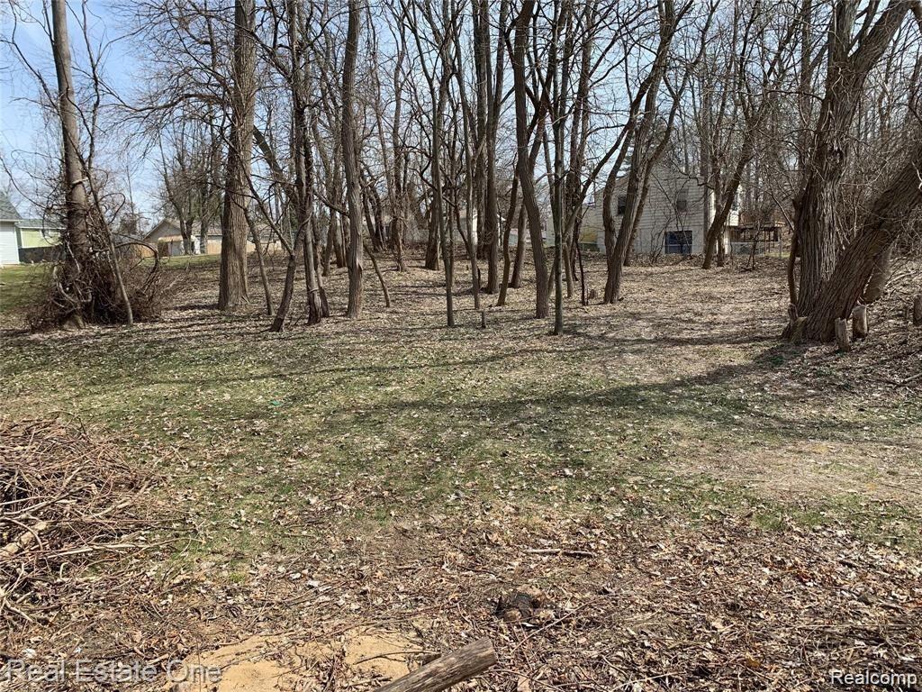 0 Cooley Lake Road Pontiac, MI 48341 - Photo 1 of 5