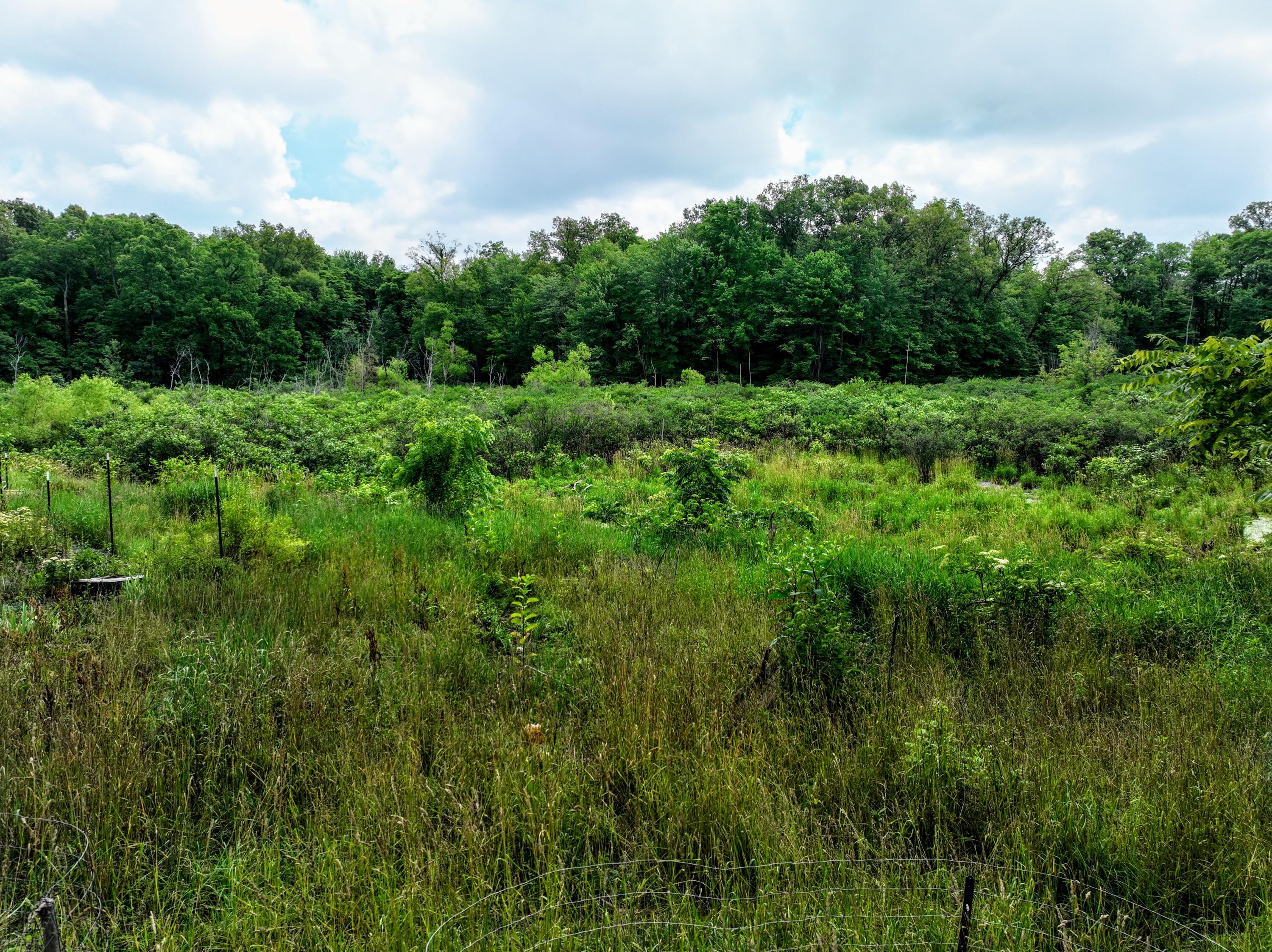 11739 4 Mile Road Plainwell, MI 49080 - Photo 23 of 32 10.5