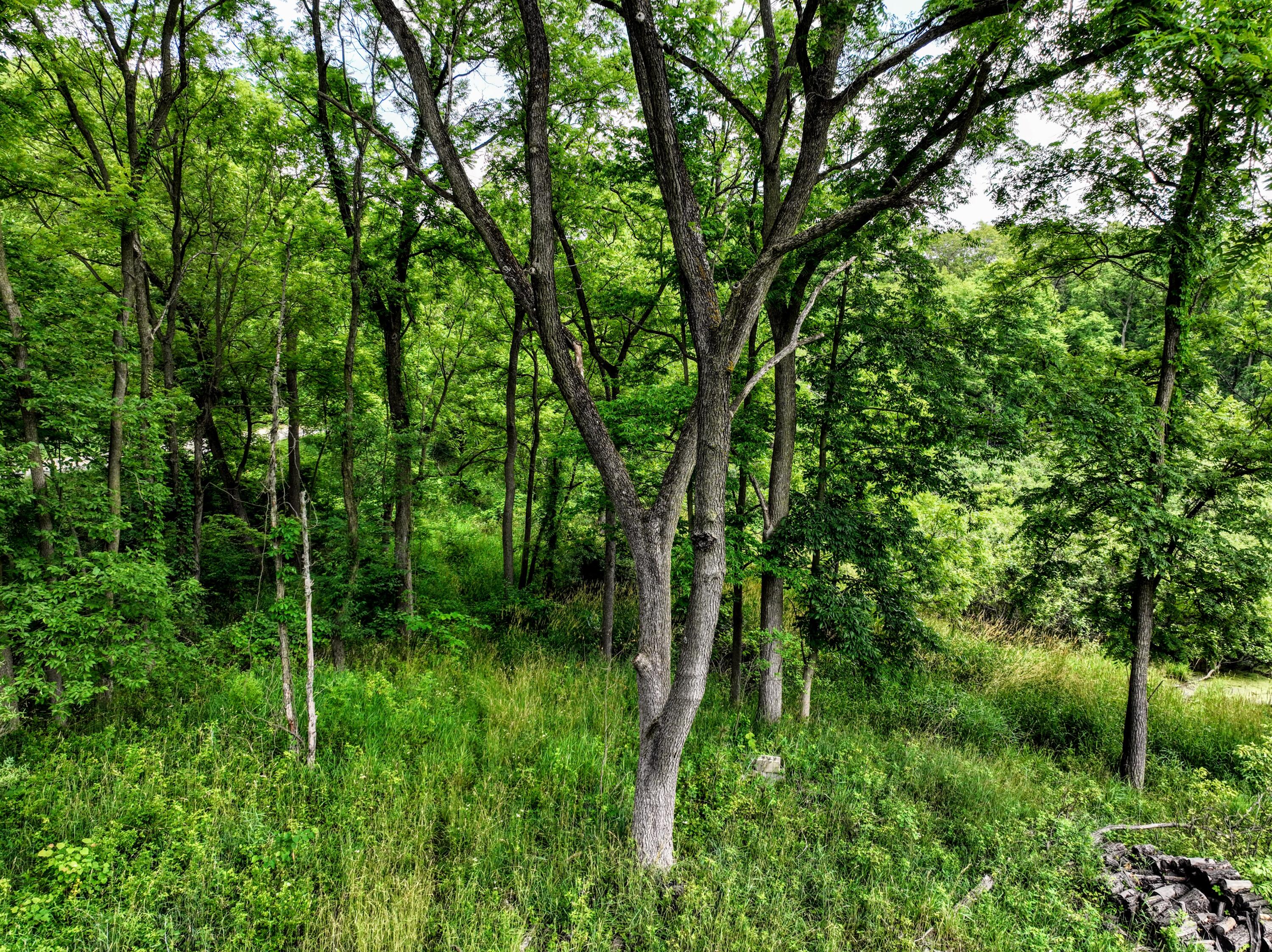 11739 4 Mile Road Plainwell, MI 49080 - Photo 7 of 32 12