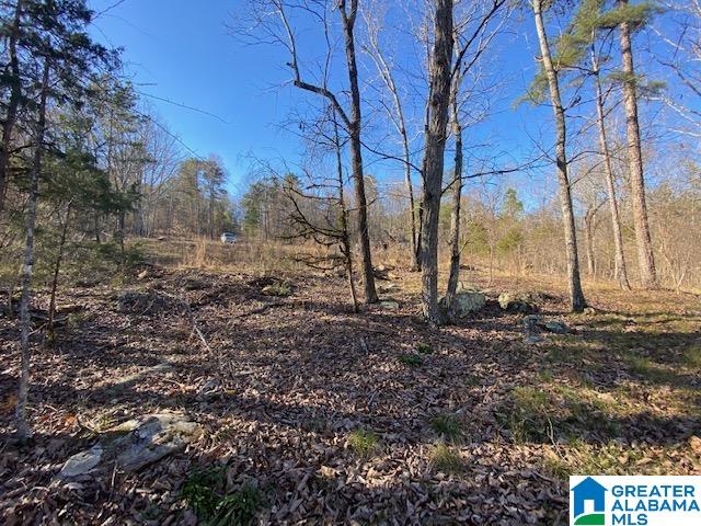 569 Ridge View Drive, Unit 5 AC Trussville, AL 35173 - Photo 18 of 21