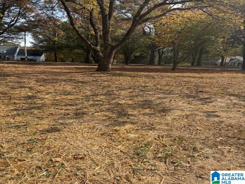 236 Fuller Road Boaz, AL 35957 - Photo 27 of 27