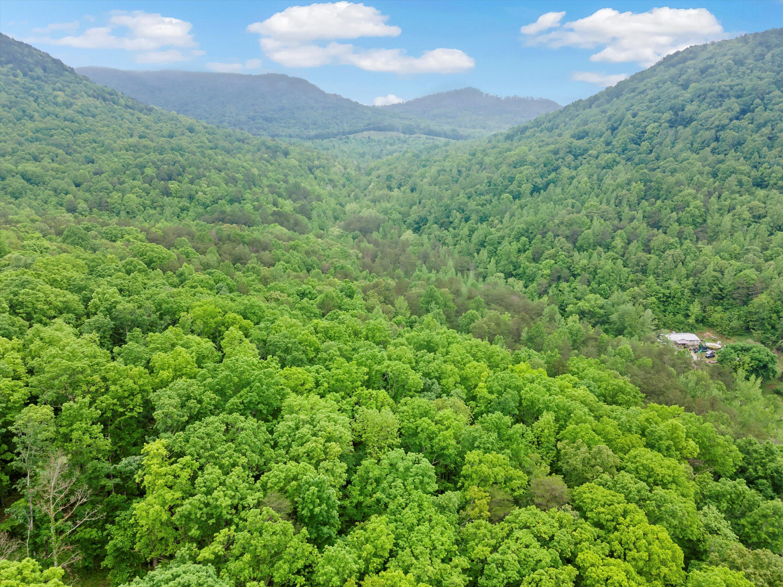 0 Egypt Hollow Road Trenton, GA 30752 - Photo 2 of 15 8-0 Egypt Hollow Rd Aerial-08