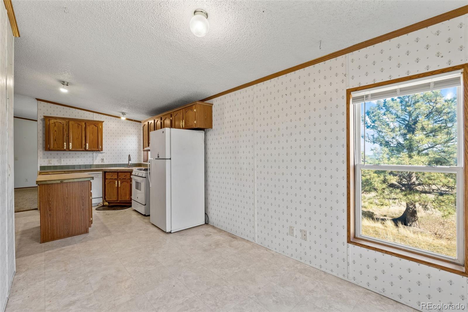 1711 Witcher Mtn. Road Guffey, CO 80820 - Photo 16 of 41 a kitchen with a refrigerator a sink and a stove top oven