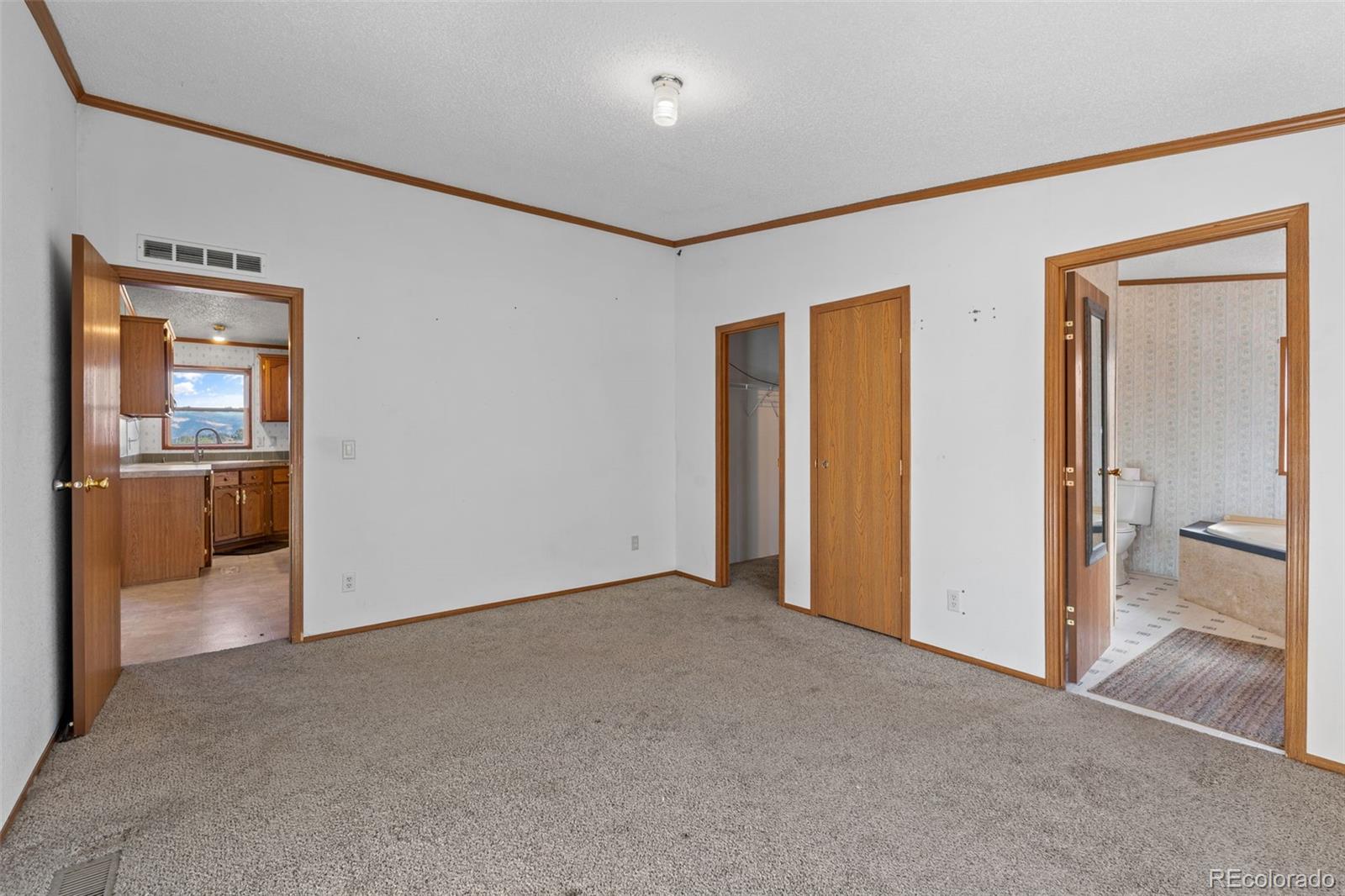 1711 Witcher Mtn. Road Guffey, CO 80820 - Photo 20 of 41 an empty room with closet and windows