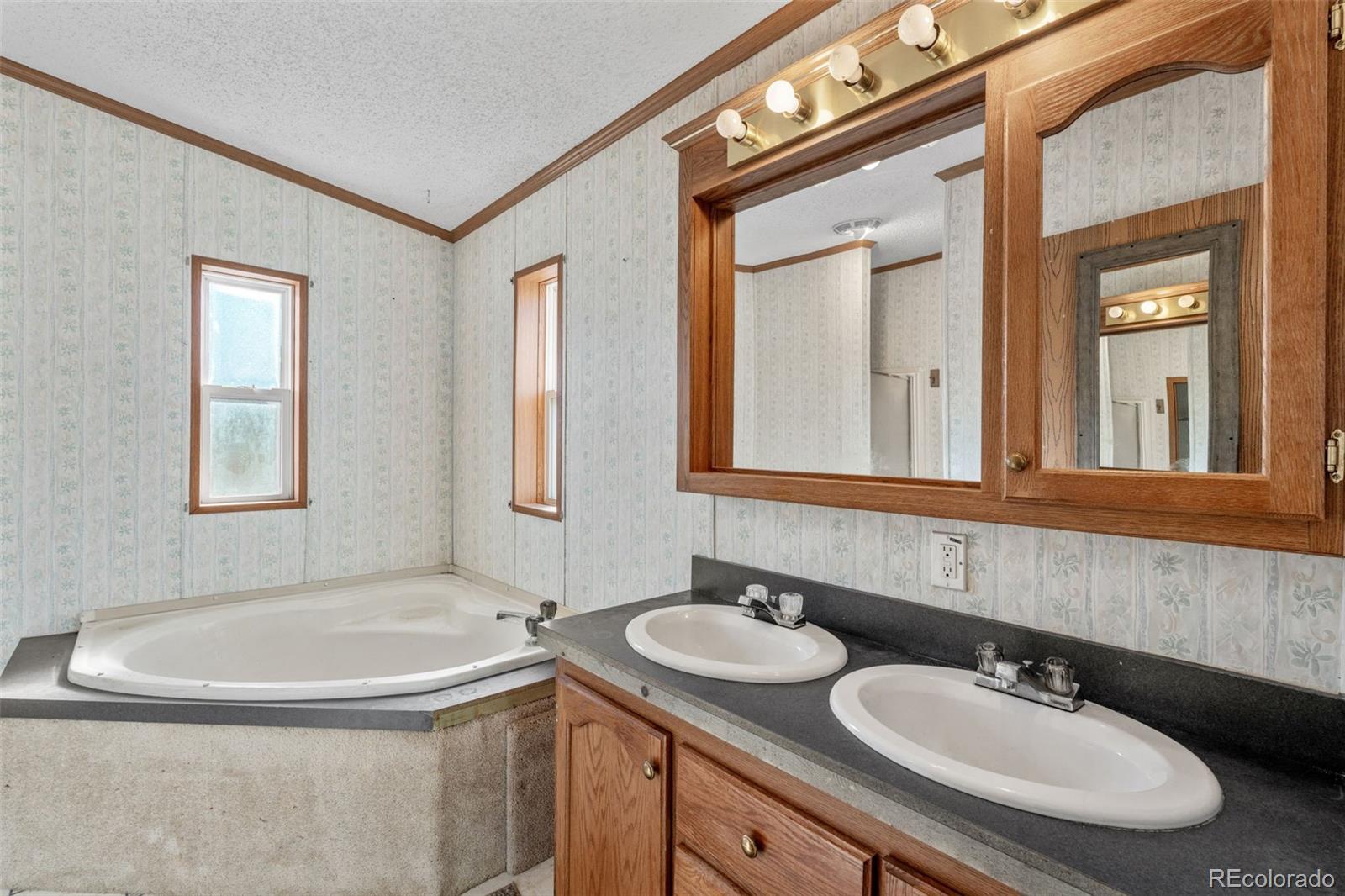 1711 Witcher Mtn. Road Guffey, CO 80820 - Photo 21 of 41 a bathroom with a sink and a mirror