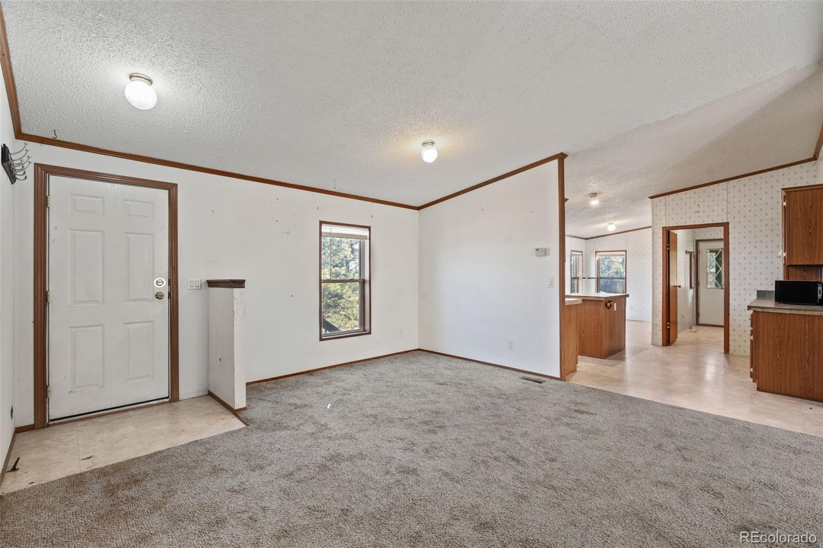 1711 Witcher Mtn. Road Guffey, CO 80820 - Photo 4 of 41 an empty room with furniture and a view of bathroom