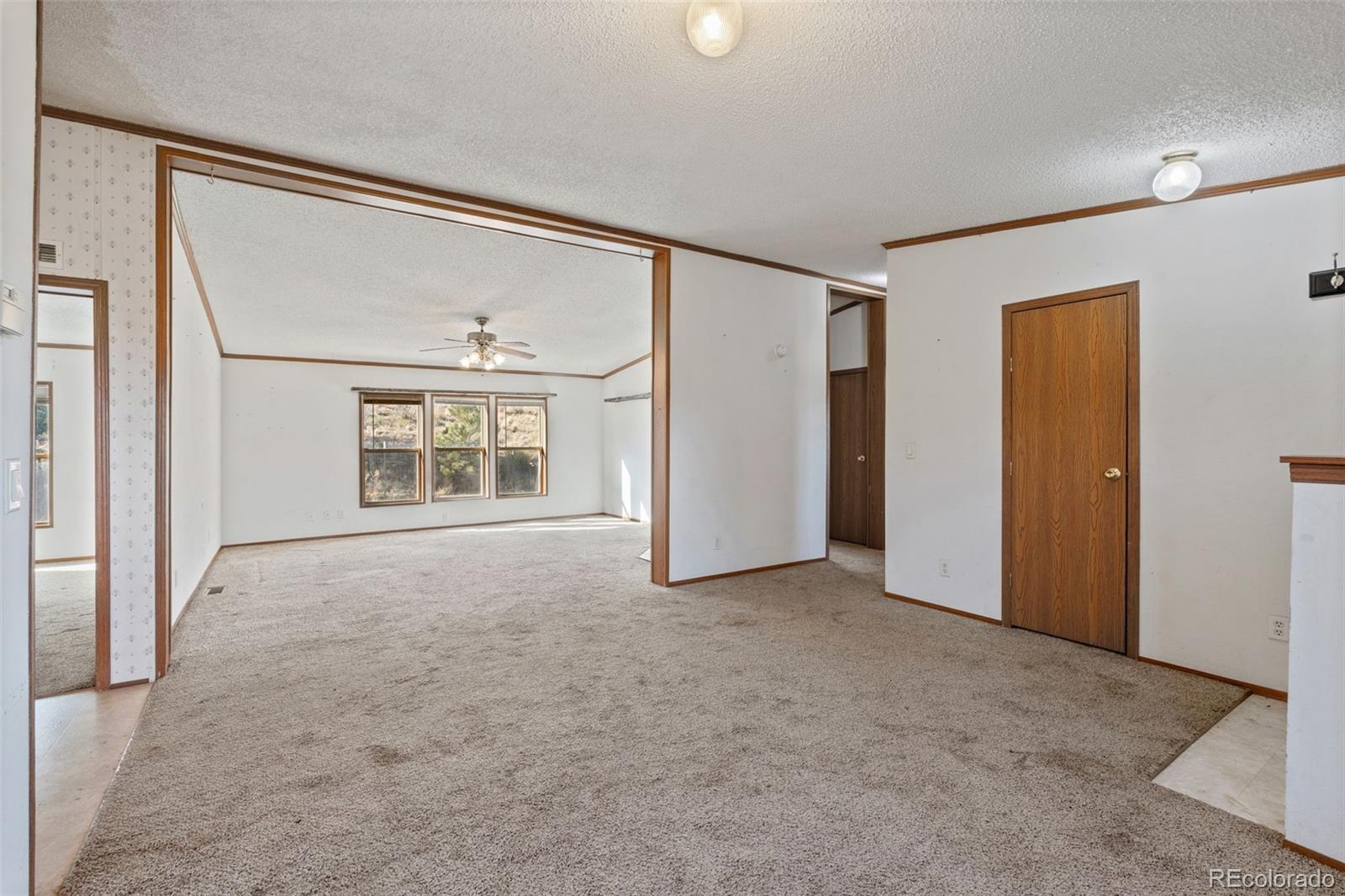 1711 Witcher Mtn. Road Guffey, CO 80820 - Photo 6 of 41 an empty room with windows and refrigerator