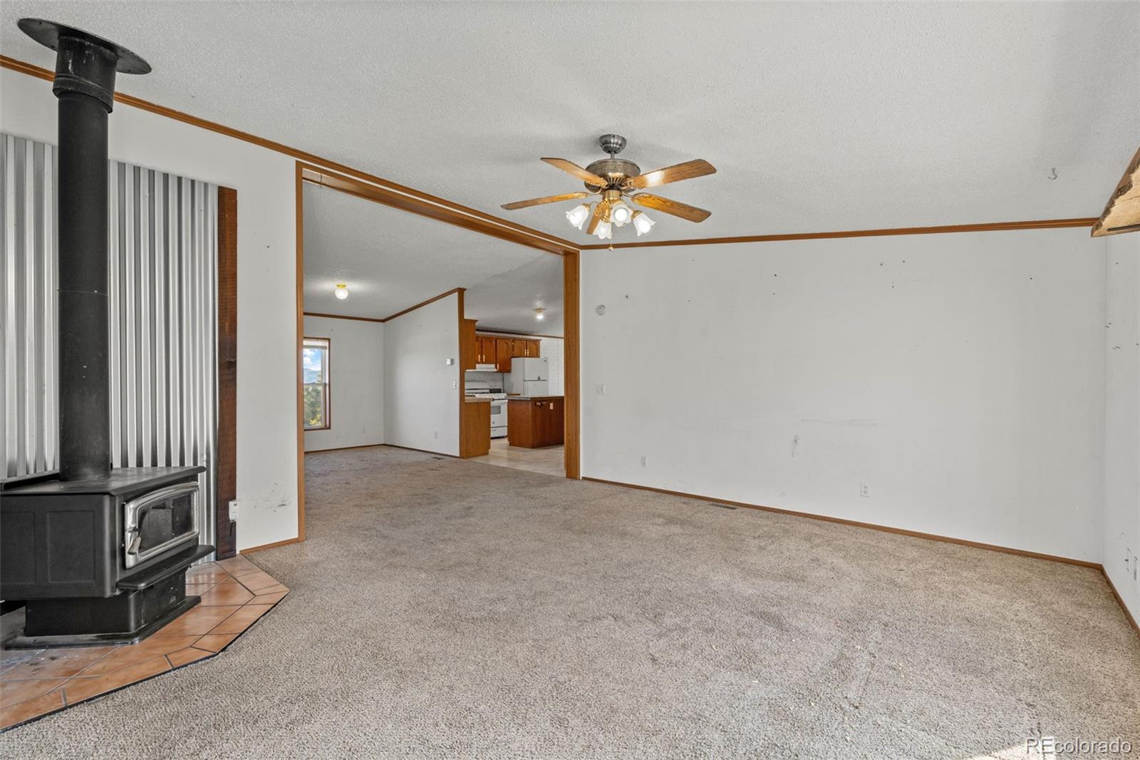 1711 Witcher Mtn. Road Guffey, CO 80820 - Photo 9 of 41 an empty room with chandelier fan and windows