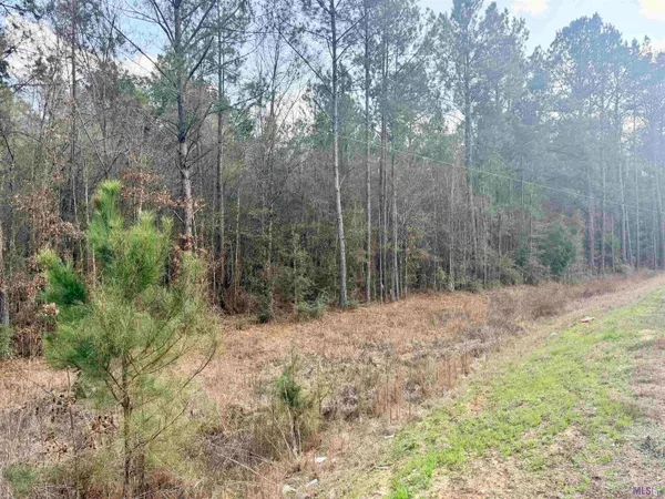 $97,500 | 1036 Hwy Holden La, Holden, LA 70744