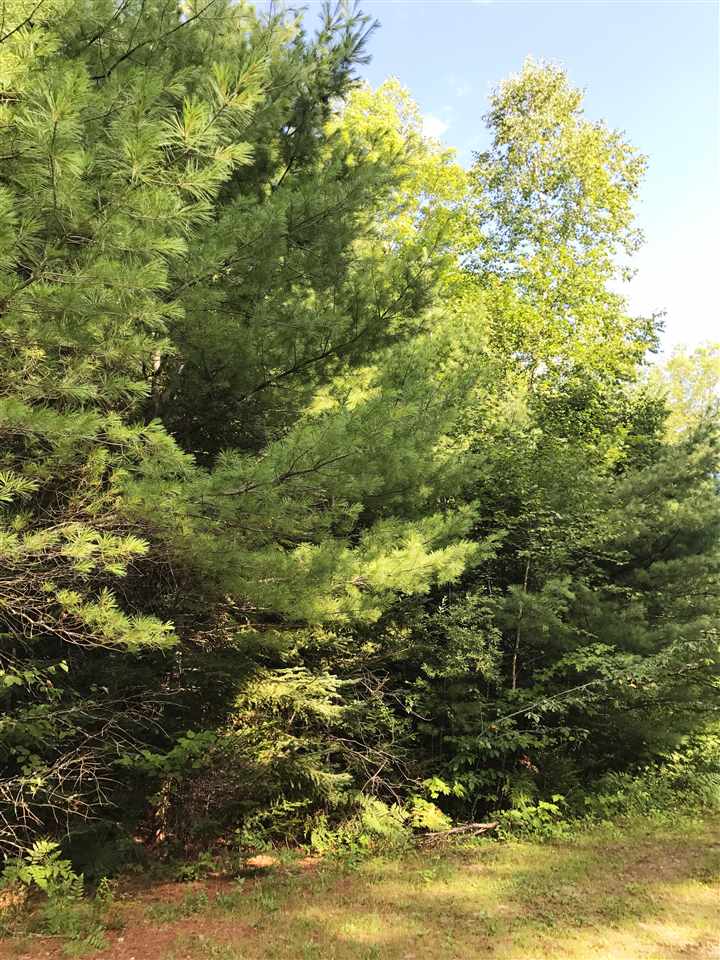 0 Ranch Road Bethlehem, NH 03574 - Photo 4 of 8