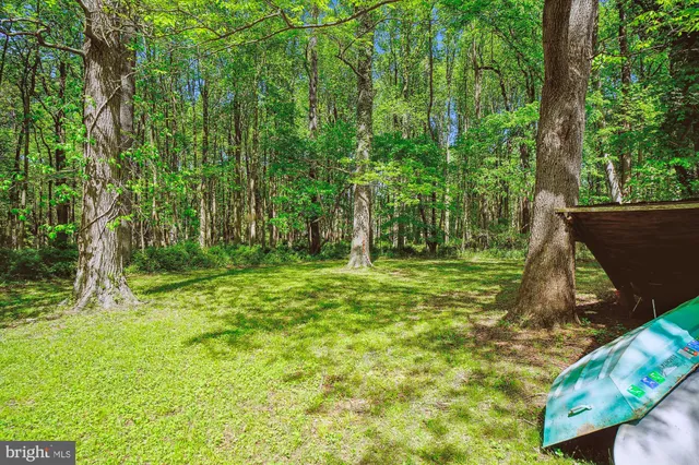 a backyard of a house with lots of green space