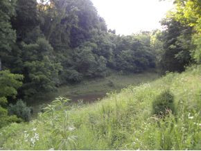 3209 Princeton Road Kingsport, TN 37660 - Photo 21 of 24 Photo 21