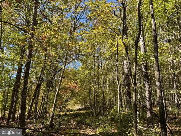 $59,900 | 0 Meherrin Road, Meherrin, VA 23954