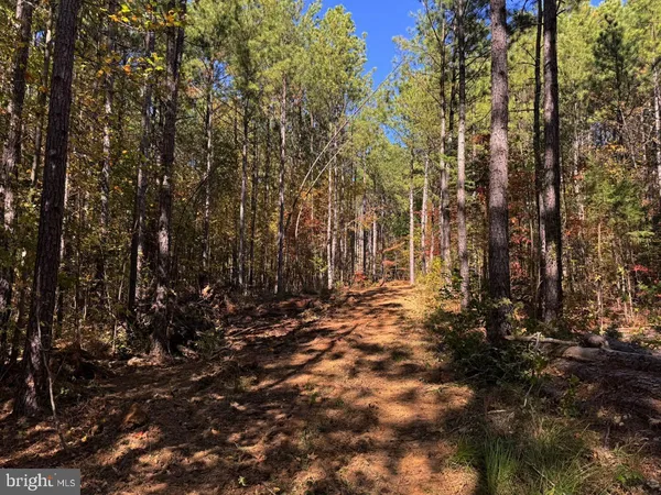 $59,900 | 0 Meherrin Road, Meherrin, VA 23954