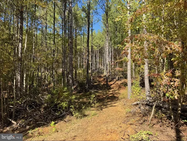 $59,900 | 0 Meherrin Road, Meherrin, VA 23954