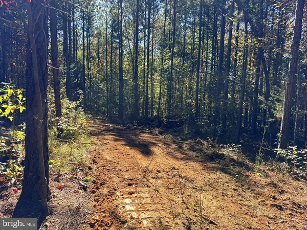 $59,900 | 0 Meherrin Road, Meherrin, VA 23954