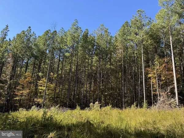 $59,900 | 0 Meherrin Road, Meherrin, VA 23954