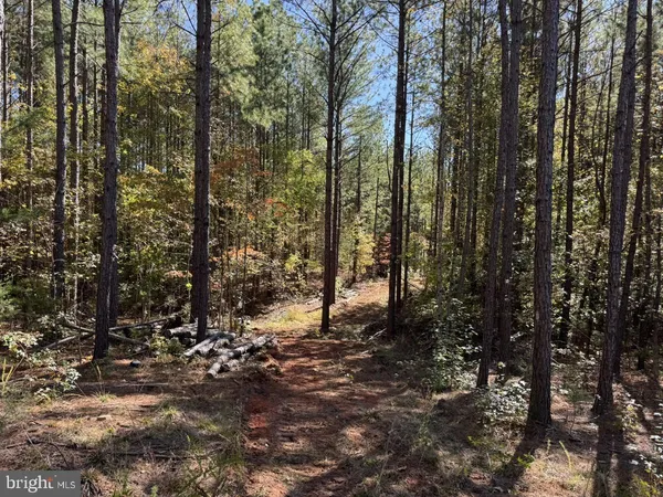 $59,900 | 0 Meherrin Road, Meherrin, VA 23954