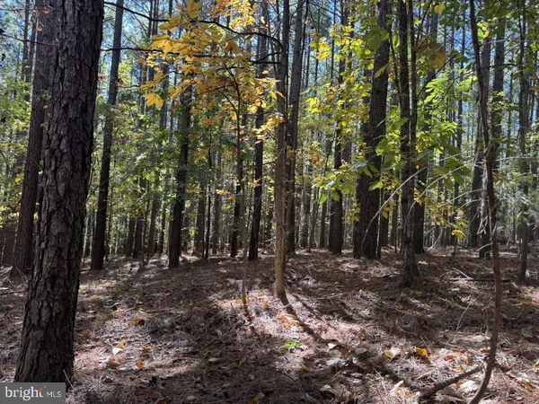 $59,900 | 0 Meherrin Road, Meherrin, VA 23954